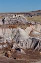 74 petrified forest, blue mesa
